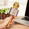 Wireless Bluetooth Speaker | 3-in-1 Handheld  Speaker, Microphone, Recorder