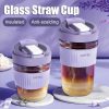 Glass Straw Cup Sipper 2 In 1